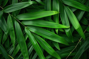 Sticker - Tranquil Bamboo leaves background. Nature asia. Generate AI