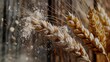 Increasing wheat prices in Europe caused by the conflict between Russia and Ukraine. Flour and wheat crisis. Record prices and high bakery prices.