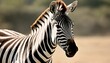 A-Zebra-With-Its-Nostrils-Flaring-As-It-Sniffs-The- 2