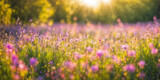 Fototapeta  - Blurry bokeh background in a minimalist, bright, sunny summer landscape