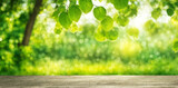 Fototapeta  - Abstract blur of lush greenery conveying the freshness of spring