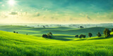 Fototapeta  - Minimalist photography capturing a sunny summer landscape with lush green vegetation
