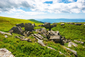Wall Mural - green alpine hills and meadow of carpathians. stones among the grass beneath a sky with clouds. summ