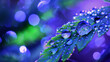 A closeup of water droplets on a blade of grass, with vibrant purple and blue hues reflecting in the drops, creating an enchanting bokeh effect.