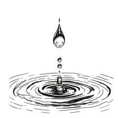  Splashes of water and drops of water graphics engraving on a white background. Drops fall into the water