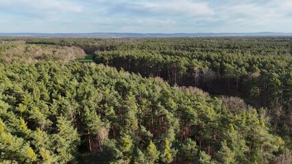 Canvas Print - Wald bei Rodermark