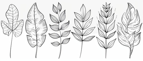 Poster - the collection of tropical leaves is a collection of hand drawn line art moderns, featuring leaf bra