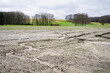 Bodenerosion - verschlemmte und ausgewaschene Getreidefläche in Winter nach heftigen Regenfällen, Symbolfoto..