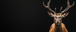 A majestic deer stands against a black backdrop with its face obscured, highlighting its impressive antlers