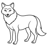 Fototapeta Psy - vector illustration of wolf