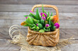 Colorful fresh tulips in wicker basket - wooden background