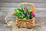 Fototapeta Lawenda - Colorful fresh tulips in wicker basket - wooden background