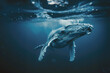 vue sous-marine d'une baleine à bosse venant respirer à la surface de l'océan