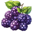 Chokeberry Flat Colors Cartoon Icon , Cartoon , Illustration, Cartoon PNG