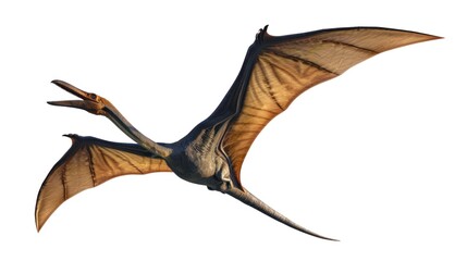 Wall Mural - clipart vector illustration of a flying dinosaur, pterodactyl.