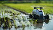 ai robot farming in rice field