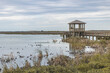 A marsh with a covered viewing platform and boardwalk with birds in the water. 