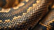 Closeup of Intricate Patterns on a Snakes Skin