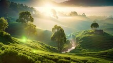A Stunning View Of A Lush Green Hillside Adorned With Numerous Trees, Offering A Picturesque And Vibrant Landscape, Tea Estate Slopes In The Foggy Morning Sunrise, AI Generated