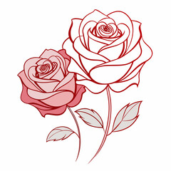 Two roses in continuous line art stock