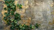 Old concrete wall with green plants.