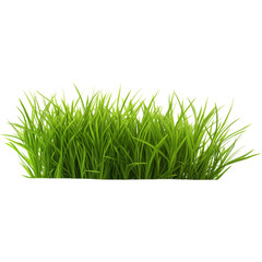 Wall Mural - Green grass isolated on transparent background