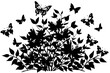 butterfly bush silhouette vector illustration
