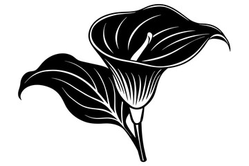 Wall Mural - calla lily flower silhouette vector illustration