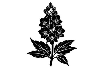 Wall Mural - delphinium flower silhouette vector illustration