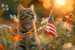 Funny cat  with big America USA  flag celebrates 4th of July Independence Day