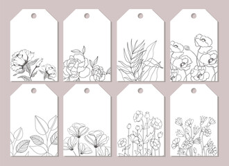 Wall Mural - Set of labels, stickers, posters, greeting cards with wildflowers and plants. Vector