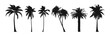 © PrettyStock - Silhouette vector set of palm trees art on white background