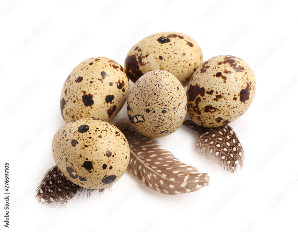 Fresh quail eggs and feathers on white background