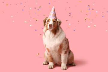 Wall Mural - Cute Australian Shepherd dog in party hat and confetti on pink background