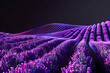 Purple neon lavender field isolated on black background.