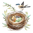Colorful watercolor birds in nest drawing art design vector illustration. Avian Oasis: Colorful Watercolor Nest with Birds