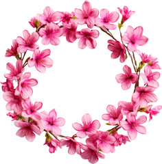 Poster - pink flower garland wreath frame isolated on white or transparent background,transparency