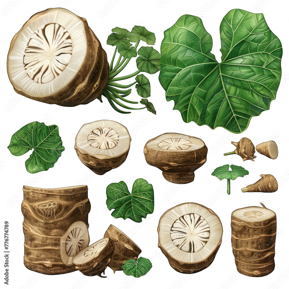 Taro Root Sticker Taro Root Illustration Set: Realistic 3D Clipart Design for Print ...