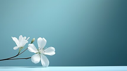 Wall Mural - calming teal blue and gray background