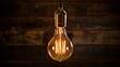 filament old style electric light bulb