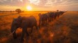 A herd of elephants trekking through a parched savanna in search of dwindling water sources