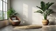 Modern wicker chair and indoor plants in a bright room with natural sunlight casting shadows on the wall 