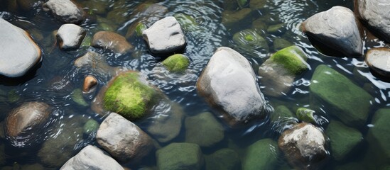 Canvas Print - Green moss can be seen growing abundantly on the large rocks submerged in the clear water of a tranquil stream