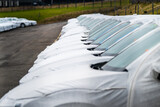 Fototapeta  - Long row of cars ready to be delivered at a car dealership.