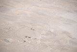 Fototapeta  - Mating dragonflys in a sand desert.