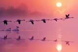 Fototapeta  - Flamingos in Flight at Misty Sunrise Over Calm Waters. 