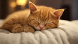 Embrace the serene beauty of this delightful ginger kitten, captured in the midst of a blissful slumber. The warm glow of the surroundings accentuates the kittens golden fur and peaceful expression.