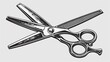 open scissors, barber scissors, black and white, art, vector
