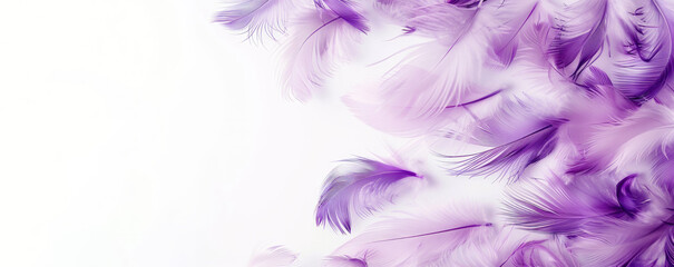 Wall Mural - A white background with purple feathers scattered across it. The feathers are of various sizes and shapes, creating a sense of movement and freedom. evokes a feeling of tranquility. banner of feathers