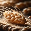 Spikelet of wheat on the table macro photo. Golden wheat ear resting on rustic twine against a blurred background. Generated ai. 